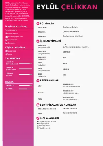 Öğrenci Cv Örnekleri cv indir